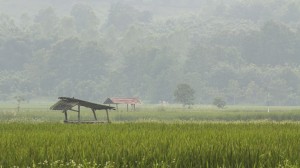Thailand Rice Field Huts