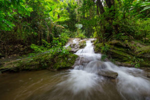 kratengjeng-waterfall-jungle-trek-2