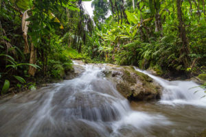 kratengjeng-waterfall-jungle-trek