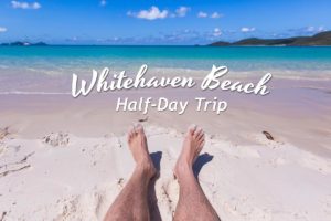 Whitehaven Beach Half Day Trip