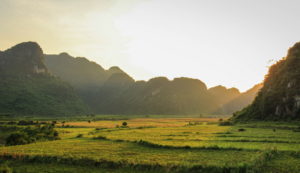 Phong Nha Farmstay Sunset