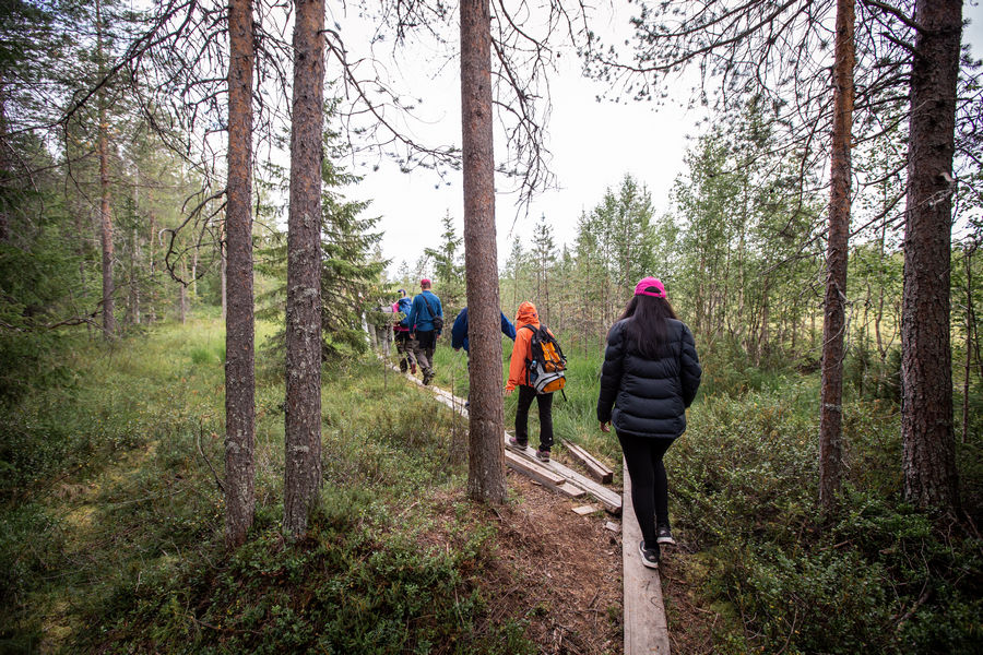 Hiking in Rovaniemi
