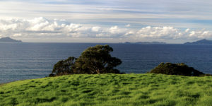 Rotoroa Island - Looking Out Over the Waitemata Harbour (Nathan Hayes)