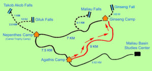 Maliau Basin Hiking Route